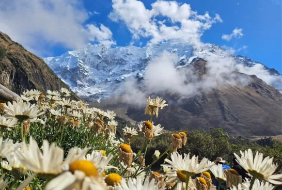 Humantay Lake Tour | Full-Day Trip from Cusco