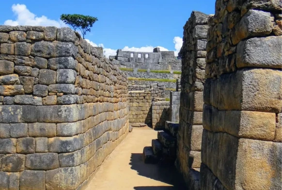 Tour a Machu Picchu desde Cusco | 1 Día completo