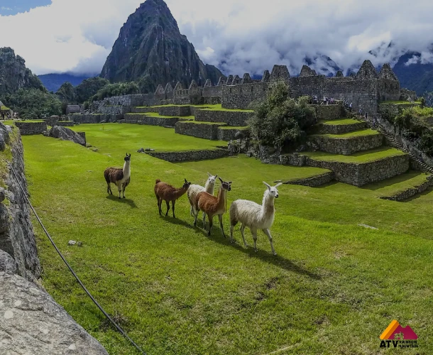 Sacred Valley Full-Day Tour
