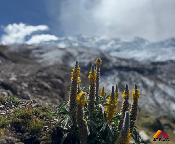 Ausangate Glaciers by ATV – Full Day