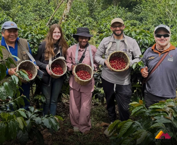 Tour del Café Full day