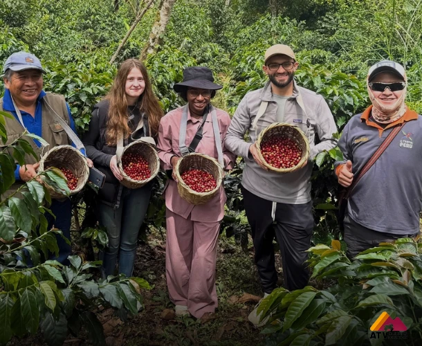Tour del Café & Machu Picchu 2D