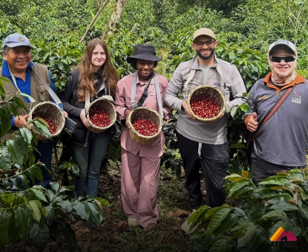 Coffee, Tea and Chocolate Tour – Ancestral Flavors in 2 Days