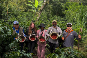 Tour del Café & Machu Picchu 2D