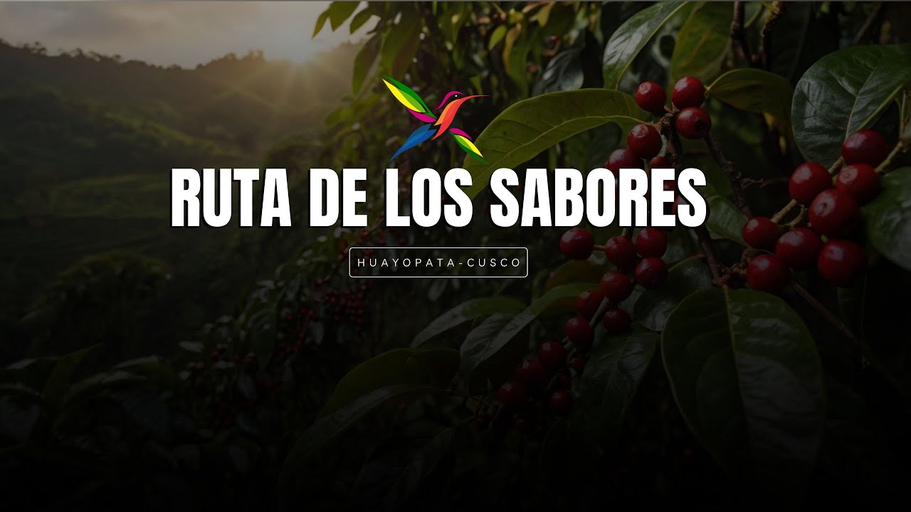 Mapa del Sabor – Ruta del Café, Té y Chocolate Artesanal