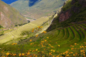City Tour Cusco y Pisac Full Day