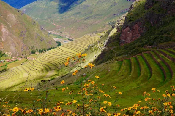 Cusco & Pisac City Tour